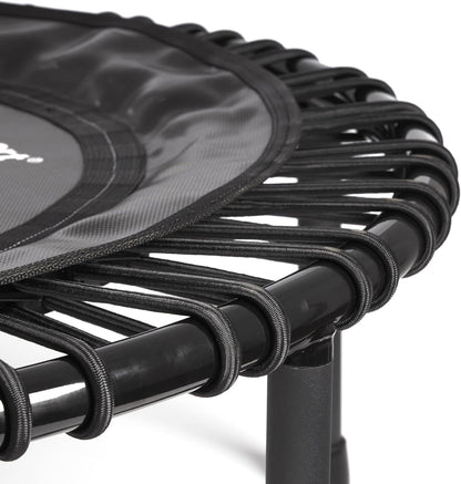 Mini Trampoline with Premium Bungees, Workout DVD, and Online Access to Video Workouts